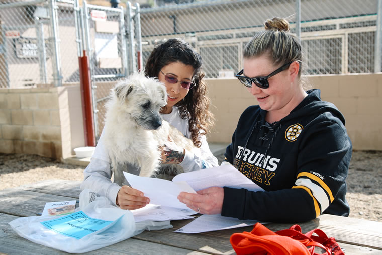 At Laguna Beach Animal Shelter, the adoption process starts with an application.