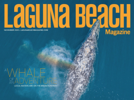 laguna beach magazine fall 2020