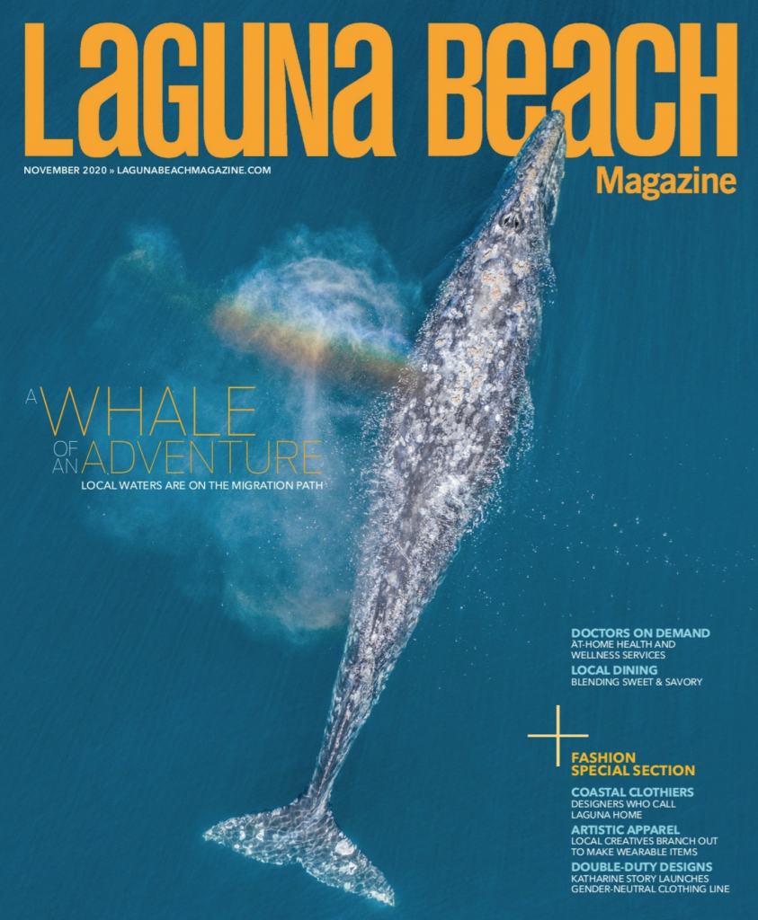 laguna beach magazine fall 2020