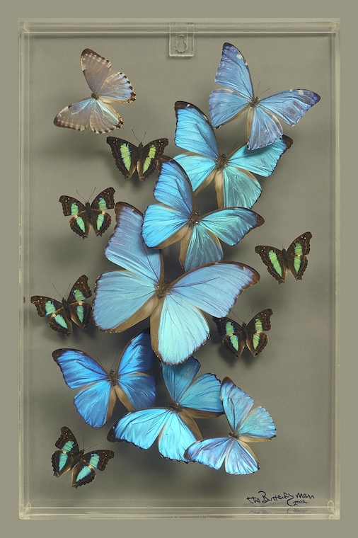 Ken Denton Butterfly Man artwork_credit Ken Denton Jr.
