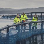 marine net pens in Norway_credit Nordic Blu