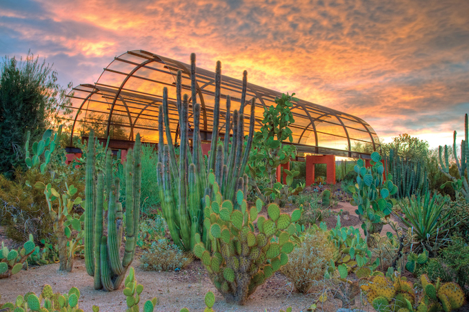 The Sybil B. Harrington Cactus and Succulent Gallery at the Desert Botanical Garden_courtesy of Experience Scottsdale