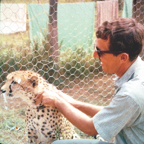 1959 Dick Metz with a Cheetah in Kenya_credit Surfing Heritage and Culture Center/Dick Metz Collection/shacc.org