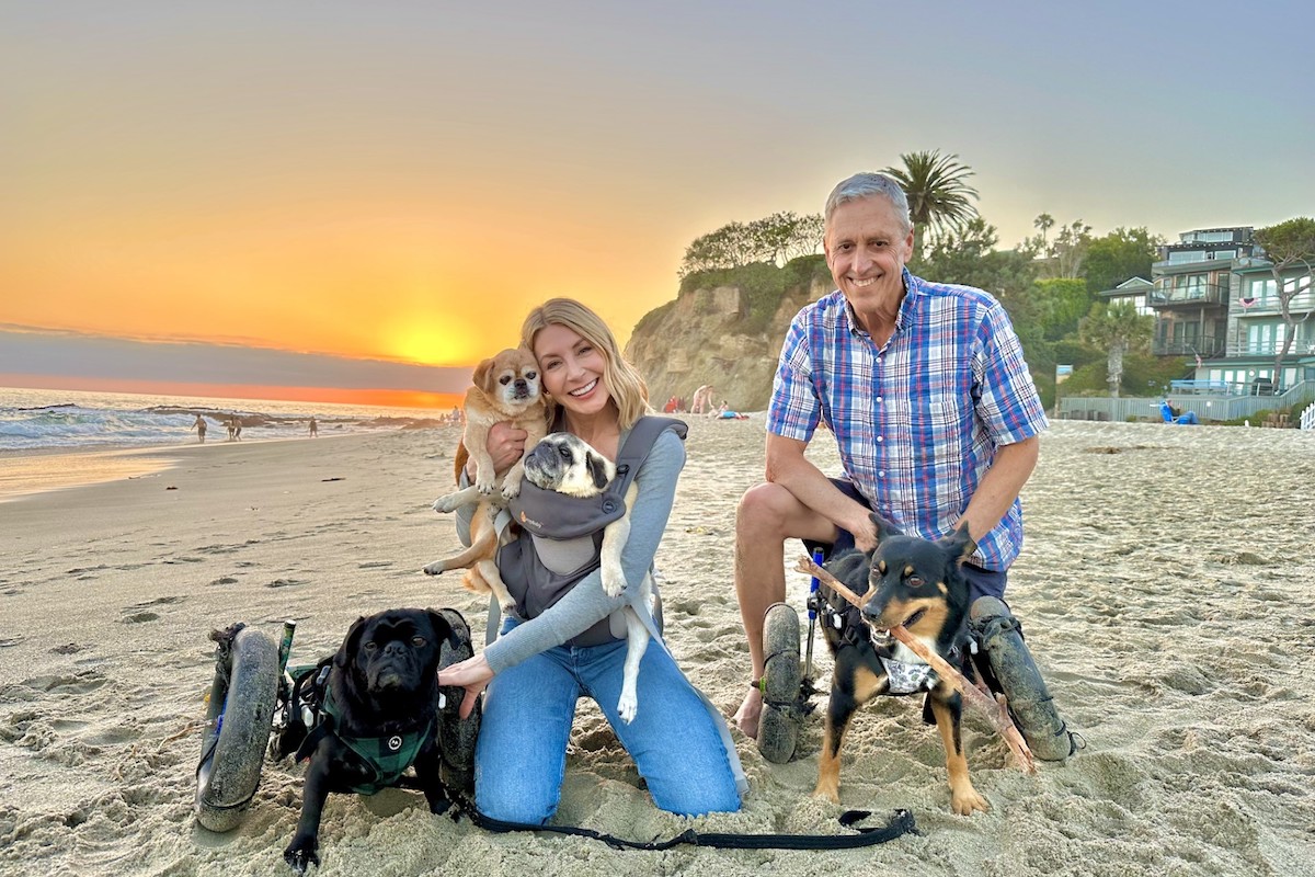 Amy & Julian Mack with their dogs Levi, Harper, StanLee and Oona